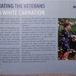 Celebrating the veterans with a white carnation